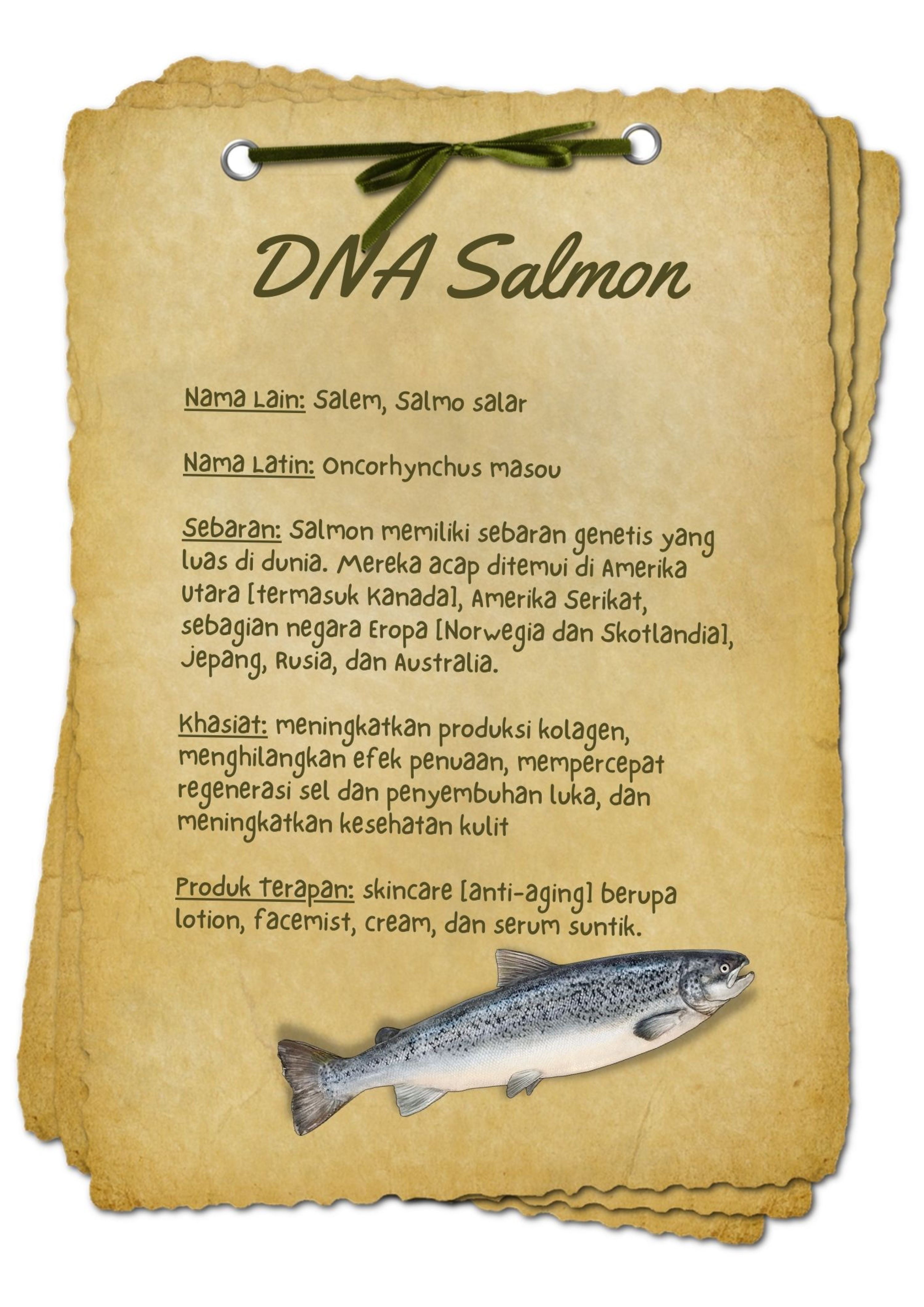 BAHAN AKTIF  DNA Salmon - Beautyversity.jpg